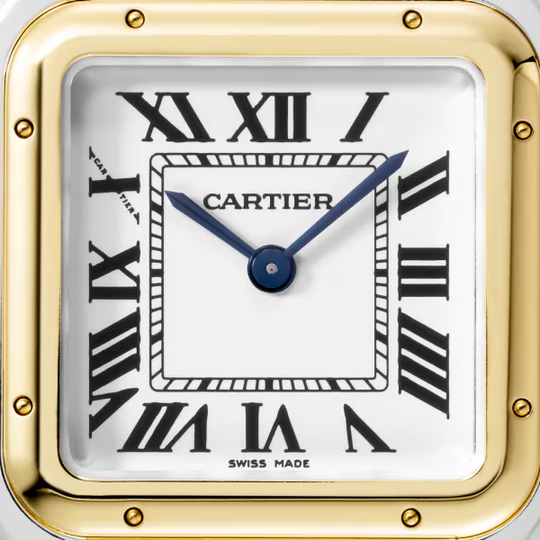 Unworn Cartier Panthère de Cartier, Stainless Steel, 18k Yellow Gold, 29mm x 37mm, Ref# W2PN0007, box and papers