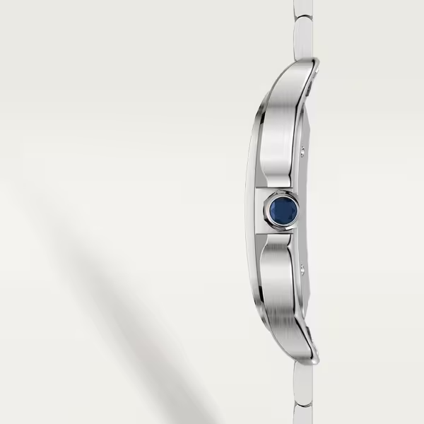 Unworn Cartier Santos de Cartier, Stainless Steel, 39.8mm, Ref# WSSA0030, box and papers