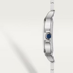 Unworn Cartier Santos de Cartier, Stainless Steel, 39.8mm, Ref# WSSA0030, box and papers