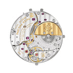 Unworn Patek Philippe Twenty~4, 7340-1R-010, box and papers