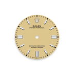 Unworn 2025, Rolex Oyster Perpetual, Oystersteel 41mm, Beige dial, Domed Oyster, Ref# 134300-0007, box and papers
