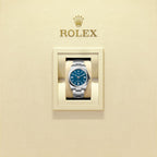 Unworn 2025, Rolex Oyster Perpetual, Oystersteel 41mm, Blue dial, Domed Oyster, Ref# 134300-0009, box and papers