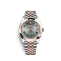 Rolex Datejust 41, 18k Everose Gold and Stainless Steel, 41mm, Ref# 126301-0016
