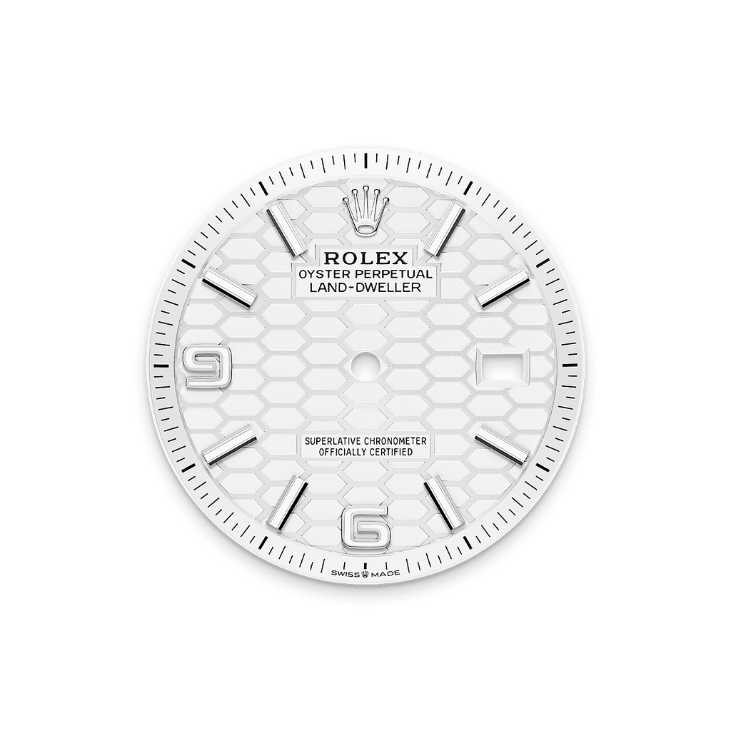 Rolex Land-Dweller 36mm Oystersteel & White Gold M127234-0001