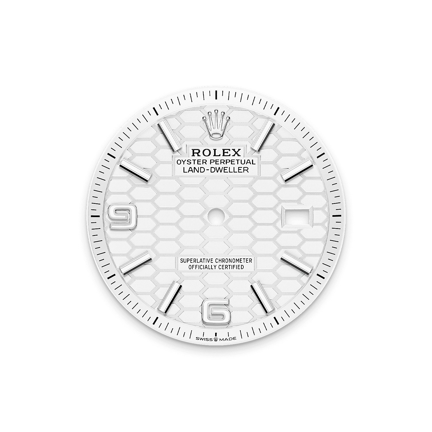 Rolex Land-Dweller 36mm Oystersteel & White Gold M127234-0001