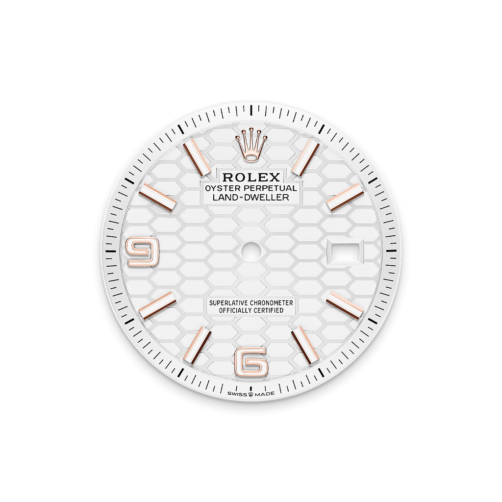 Rolex Land-Dweller 36mm Oyster Everose Gold M127235-0001