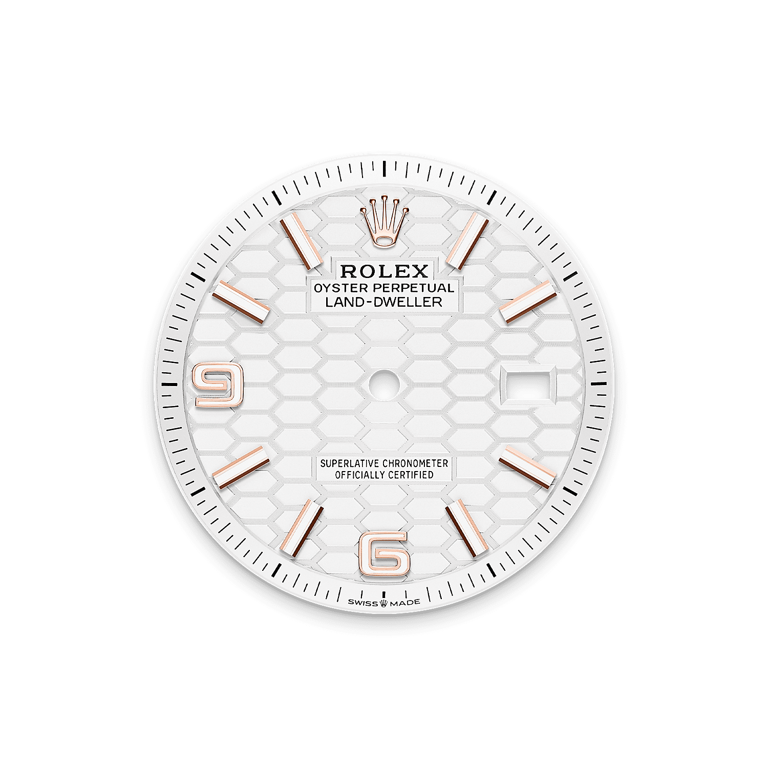 Rolex Land-Dweller 36mm Oyster Everose Gold M127235-0001