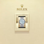 Rolex Land-Dweller 36mm Oyster Platinum M127236-0001