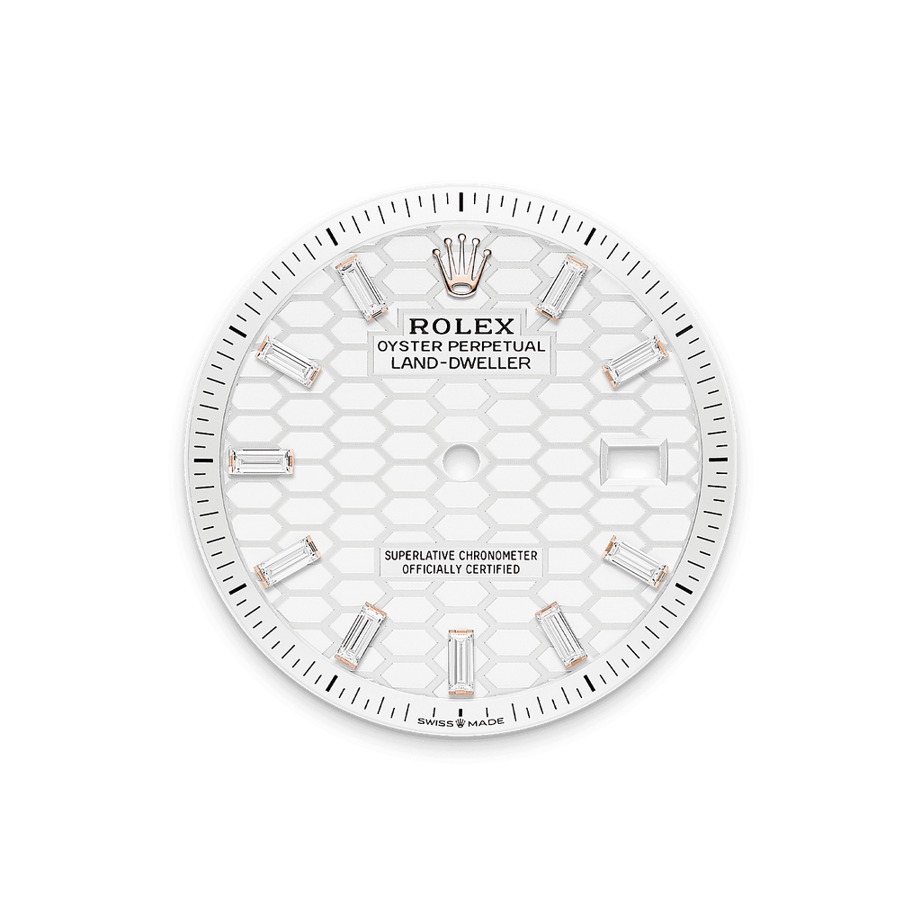 Rolex Land-Dweller 36mm Oyster Everose Gold & Diamonds M127285TBR-0002