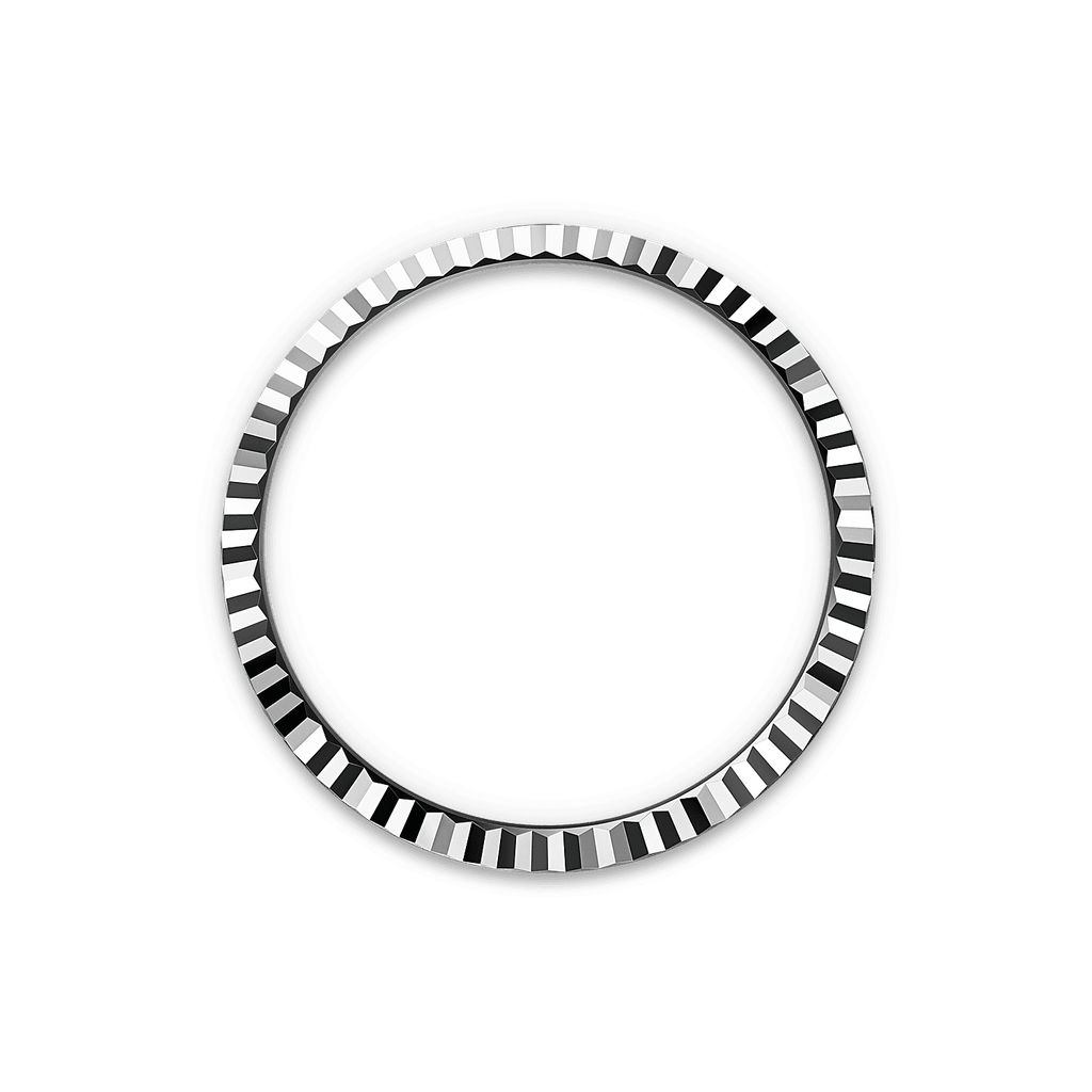 Rolex Land-Dweller 40mm Oystersteel & White Gold M127334-0001