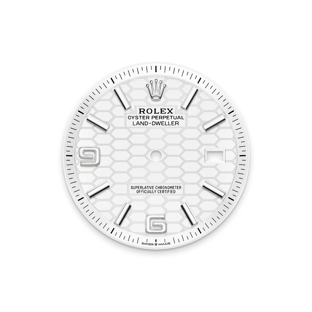 Rolex Land-Dweller 40mm Oystersteel & White Gold M127334-0001