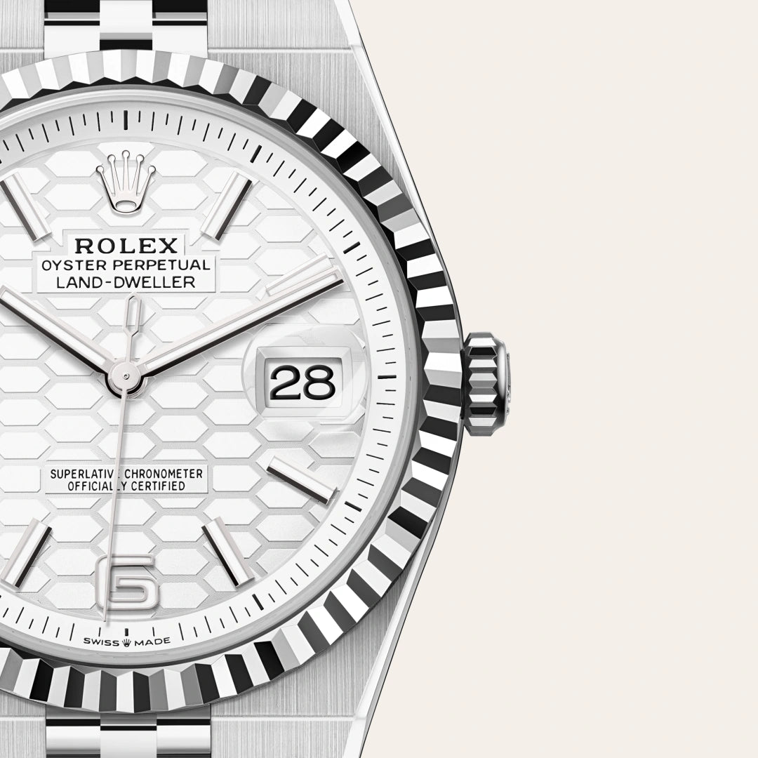 Rolex Land-Dweller 40mm Oystersteel & White Gold M127334-0001