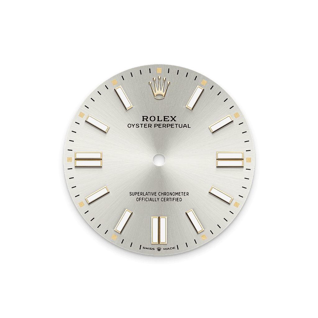 Unworn 2025, Rolex Oyster Perpetual, Oystersteel 41mm, Silver dial, Domed Oyster, Ref# 134300-0001, box and papers