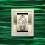 Rolex Day-Date 40, 18k Yellow Gold with Diamond-set, 40mm, Ref# 228348rbr-0042