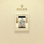 Unworn 2025, Rolex Oyster Perpetual, Oystersteel, 28mm, Pistachio-green dial, Domed Oyster, Ref# 276200-0006, box and papers