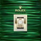 Rolex Datejust 31, 18kt Yellow Gold, Ref# 278288RBR-0009