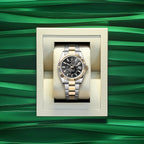 Rolex Sky-Dweller, 42mm, Oystersteel and 18k Yellow Gold, Black, Oyster, Ref# 336933-0003