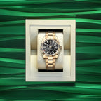 Rolex Sky-Dweller, 42mm, 18k Yellow Gold, Ref# 336938-0002