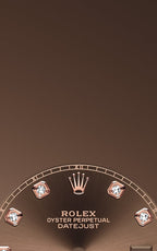 Rolex Datejust 41 Oystersteel and Everose gold Ref# 126331-0003