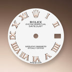 Rolex Datejust 31, Oystersteel and Everose Gold, Ref#278271-0001