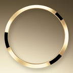 Rolex Explorer, 18k Yellow Gold and Stainless steel, 36mm, Ref# 124273-0001, 2024