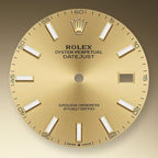 Rolex Datejust 41, 18k Yellow Gold and Stainless Steel, 41mm, Ref# 126303-0010