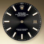 Rolex Datejust 41, 18k Yellow Gold and Stainless Steel, 41mm, Ref# 126303-0014