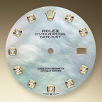 Rolex Datejust 41, 18k Yellow Gold and Stainless Steel, 41mm, Ref# 126333-0017