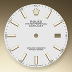 Rolex Datejust 41, 18k Yellow Gold and Stainless Steel, 41mm, Ref# 126333-0016