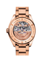 Omega Seamaster AQUA TERRA 150M CO‑AXIAL CHRONOMETER GMT Ref# 231.50.43.22.06.002