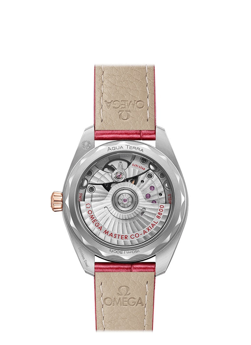 Omega Seamaster AQUA TERRA 150M CO‑AXIAL MASTER CHRONOMETER Ref# 220.23.34.20.60.001