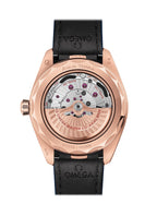 Omega Seamaster AQUA TERRA 150M CO‑AXIAL MASTER CHRONOMETER GMT WORLDTIMER Ref# 220.53.43.22.02.001