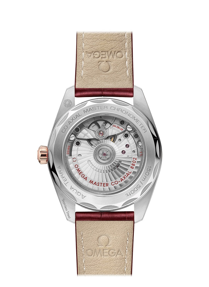 Omega Seamaster AQUA TERRA 150M CO‑AXIAL MASTER CHRONOMETER SMALL SECONDS Ref# 220.23.38.20.59.001