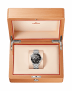 Omega Seamaster DIVER 300M CO‑AXIAL MASTER CHRONOMETER Ref# 210.30.42.20.01.001