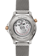 Unworn, Omega Seamaster Diver 300m, Titanium and OMEGA’s exclusive 9K Bronze Gold, 42mm, Ref# 210.90.42.20.10.001, box and papers