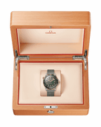 Unworn, Omega Seamaster Diver 300m, Titanium and OMEGA’s exclusive 9K Bronze Gold, 42mm, Ref# 210.90.42.20.10.001, box and papers