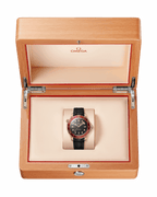 Unworn, Omega Seamaster Diver 300m, 18K Bronze Gold, 42mm, Ref# 210.92.42.20.01.003, box and papers